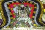 வீரட்டானேஸ்வரர் கோவிலில் சனிப்பெயர்ச்சி விழா