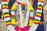 திருப்பூர் கோவில்களில் சனிப்பெயர்ச்சி சிறப்பு யாகம்