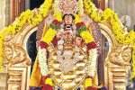 உடுமலை நவநீதகிருஷ்ண பெருமாள் கோவிலில் பகல்பத்து உற்சவம்