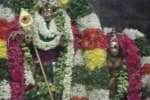 திருப்பரங்குன்றத்தில் திருவாதிரை திருவிழா துவங்கியது