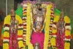 பாண்டியன் கொண்டை அலங்காரத்தில் கோட்டை அழகிரிநாத சுவாமி
