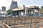 பார்த்தசாரதி கோவிலில் வைகுண்ட ஏகாதசி சிறப்பு ஏற்பாடு!