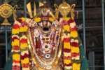 கூர்ம அவதாரத்தில் அழகிரிநாதர்