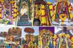 ஆருத்ரா உற்சவ விழா காஞ்சியில் கோலாகலம்