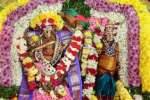 சேலம் சிவாலயங்களில் ஆருத்ரா தரிசனம்: ஓம் நமச்சிவாய கோஷத்துடன் பரவசம்