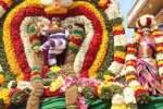 தர்மபுரி சிவன் கோவில்களில் ஆருத்ரா தரிசனம்
