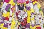 ராமானுஜர் கோவிலில் திருவாதிரை விழா