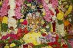 சவுண்டம்மன் கோவில் விழா: மகாஜோதி திருவீதி உலா