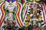 திருநாங்கூரில் 11 தங்க கருடசேவை: பல்லாயிரக்கணக்கான பக்தர்கள் தரிசனம்