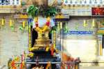 நாகராஜாகோவில் தை திருவிழா கொடியேற்றத்துடன் துவக்கம்