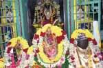 விழுப்புரம் வராகி பைரவருக்கு திருக்கல்யாணம்