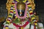 சோமவாரத்தில் வந்த அபூர்வ பிரதோஷம்: ஆயிரக்கணக்கான பக்தர்கள் தரிசனம்