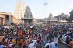 திருவண்ணாமலை கோவிலில் பிரதோஷ வழிபாடு: ஆயிரக்கணக்கானோர் சுவாமி தரிசனம்