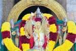 60 ஆண்டுகளுக்கு பின் பட்டாபிராமபுரத்தில் திருத்தணி முருகர் உலா
