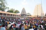 அருணாசலேஸ்வரர் கோவிலில் மஹா சிவராத்திரி விழா ஏற்பாடு
