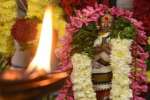 அவிநாசிலிங்கேஸ்வரர் கோவிலில் திருநீலகண்டர் நாயனார் குருபூஜை