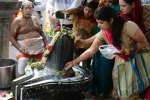 மகா சிவராத்திரி: கங்காதீஸ்வரர் கோவிலில் பாலாபிஷேகம் செய்து பக்தர்கள் வழிபாடு