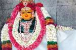 பொள்ளாச்சி கோவில்களில் சிவராத்திரி விழா கோலாகலம்