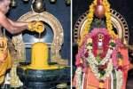 உடுமலை கோவில்களில் சிவராத்திரி விழா கோலாகலம் பக்தர்கள் உற்சாகம்