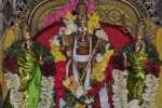 மாசி கிருத்திகை: தர்மபுரி முருகன் கோவில்களில் வழிபாடு