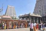 திருவண்ணாமலை அருணாசலேஸ்வரர் கோவிலில் ஏராளமான பக்தர்கள் தரிசனம்