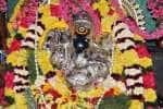 தர்மபுரி விநாயகர் கோவில்களில் சங்கடஹர சதுர்த்தி பூஜை