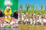 இயற்கை வழிபாடு பாரம்பரியம் சொல்லும் கிராம திருவிழா