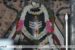 வடாரண்யேஸ்வரர் கோவில் பங்குனி பிரம்மோற்சவ விழா: வரும் 21ல் கொடியேற்றம்