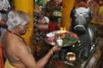 தர்மபுரி சிவன் கோவில்களில் பிரதோஷ சிறப்பு பூஜை