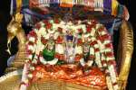 பழநி பங்குனி உத்திரவிழா: தங்கமயில் வாகனத்தில் சுவாமி உலா
