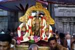 காஞ்சி வரதராஜப்பெருமாள் மூன்று மாலைகளுடன் காட்சி