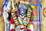 மானாமதுரை சோணையா கோயில் வருஷாபிஷேகம்