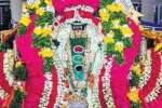 திருப்போரூர் கந்தசுவாமி கோவிலில் சித்திரை உற்சவம் நிறைவு