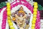 ஏழாயிரம் பண்ணை பராசக்தி மாரியம்மன் கோயில் தேரோட்டம்