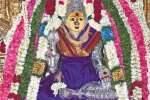 மல்லம்மாள் தர்மமுனீஸ்வரர் கோயிலில் வருஷாபிஷேகம்