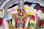 பழநி அக்னி நட்சத்திர விழா : மூலிகைக்காற்று வீசும் கிரிவீதி