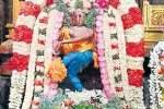 திருக்கழுக்குன்றத்தில் நடராஜர் அபிஷேகம்