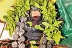 உடுமலை கோவிலில் சிவலிங்கத்துக்கு சிறப்பு வழிபாடு