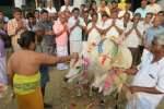 பவளமலை முருகன் கோவிலில் கோ பூஜை