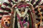 முத்துமாரியம்மன் கோவிலில் சக்தி கரக ஊர்வலம்: பக்தர்கள் நேர்த்திக்கடன்