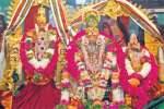 சிவகாசி விஸ்வநாத சுவாமி கோயிலில் வைகாசி விழா துவக்கம்