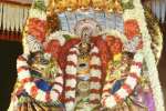 திருப்பூர் விஸ்வேஸ்வரசுவாமி கோயிலில் கைலாய வாகனத்தில் சுவாமி புறப்பாடு