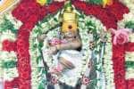 விஸ்வேஸ்வர சுவாமி கோவிலில் நடராஜ பெருமான் பக்தர்களுக்கு தரிசனம்