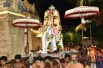 பிரம்மோற்சவ விழா: கஜ வாகனத்தில் ஸ்ரீனிவாசப்பெருமாள் வீதியுலா