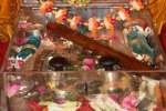 ஷீரடி சாய்பாபா பாதுகை, 9 நாணயம்: திரளான பக்தர்கள் தரிசனம்