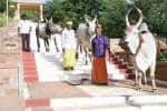 சென்னிமலை முருகன் கோவிலில்  தீர்த்தம் கொண்டு செல்ல புதிய காளைக்கு பயிற்சி