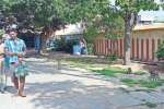 தட்சிணாமூர்த்தி கோவிலில் குரங்கு தொல்லை: பக்தர்கள் அவதி