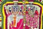 நீலமங்கலம் ஏகாம்பரேஸ்வரர் கோவிலில் திருக்கல்யாணம்