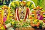சீனிவாச பெருமாள் திருக்கல்யாணம் :ஏராளமான பக்தர்கள் பங்கேற்பு