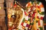 மதுரை மீனாட்சியம்மன் முளைக்கொட்டு உற்சவம்: வரும் 15ல் துவக்கம்